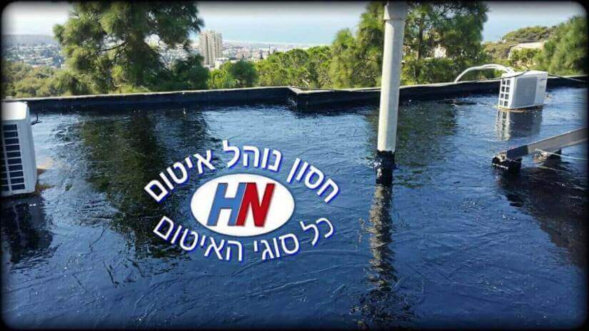 זיפות גגות